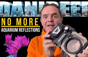 DiveVolk Seatouch 4: aquarium pictures with no compromise