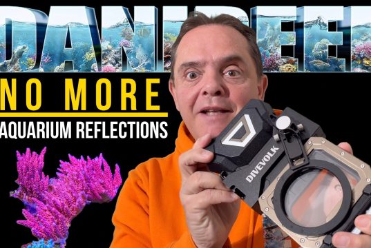 DiveVolk Seatouch 4: aquarium pictures with no compromise