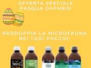 Offerta Speciale Pasqua Daphbio: Doppia MicroFauna in ogni ordine