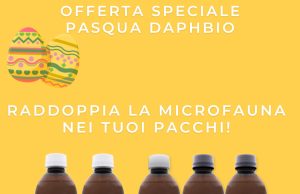 Offerta Speciale Pasqua Daphbio: Doppia MicroFauna in ogni ordine