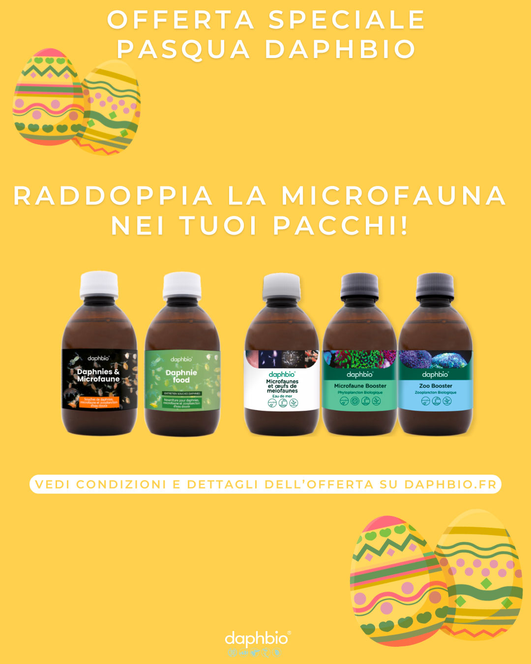 Offerta Speciale Pasqua Daphbio: Doppia MicroFauna in ogni ordine