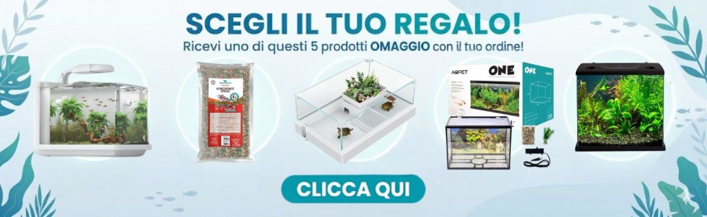 I 5 acquari da cui scegliere il proprio regalo