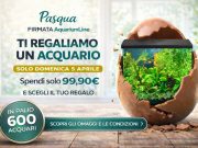 Aquariumline Pasqua 2026 acquario in regalo con 99 euro di spesa