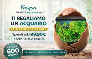 Aquariumline Pasqua 2026 acquario in regalo con 99 euro di spesa