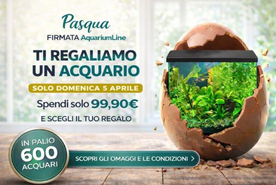 Aquariumline Pasqua 2026 acquario in regalo con 99 euro di spesa