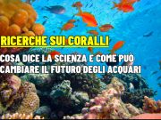 Coralli e scienza: 3 studi che cambiano luce pH e crescita in acquario