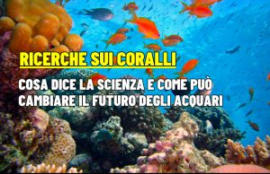 Coralli e scienza: 3 studi che cambiano luce pH e crescita in acquario