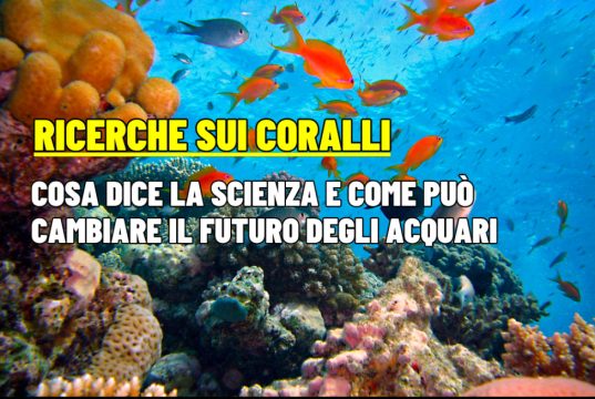 Coralli e scienza: 3 studi che cambiano luce pH e crescita in acquario