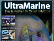 UltraMarine Magazine 117: David Saxby elacatinus e batteri