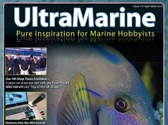 UltraMarine Magazine 117: David Saxby elacatinus e batteri