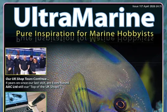 UltraMarine Magazine 117: David Saxby elacatinus e batteri