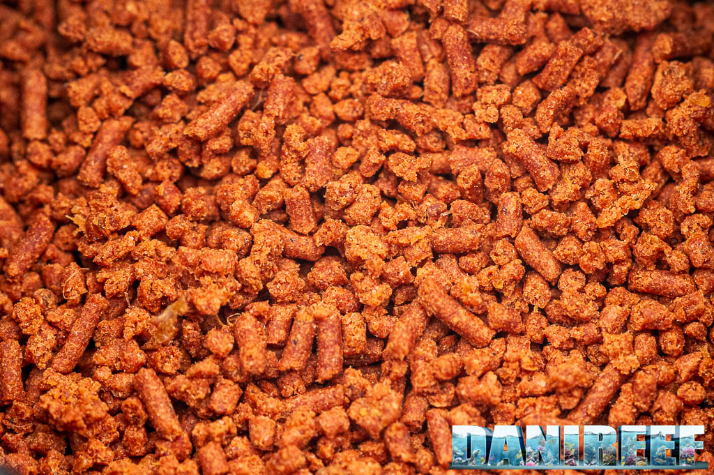 Macro del pellet BEA Colors