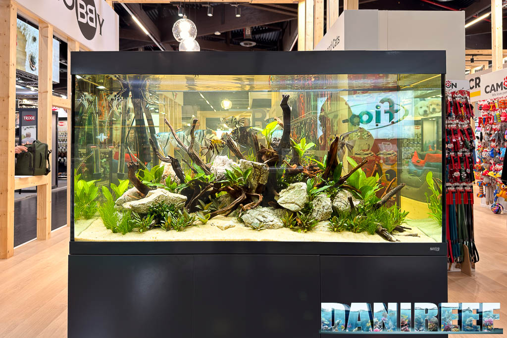 Acquario dolce con scalari nello stand Amtra a Interzoo 2026
