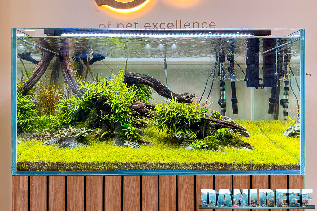 Acquario Aquatlantis Clarity allestito per aquascaping a Interzoo 2026