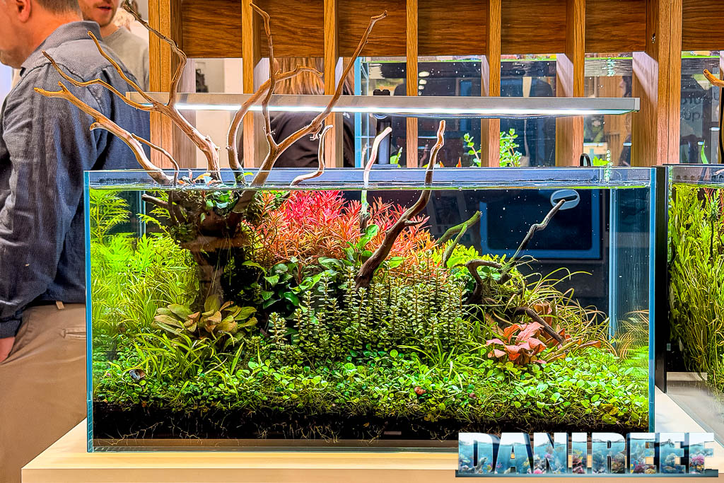 Aquascaping Dennerle e Tropica a Interzoo 2026