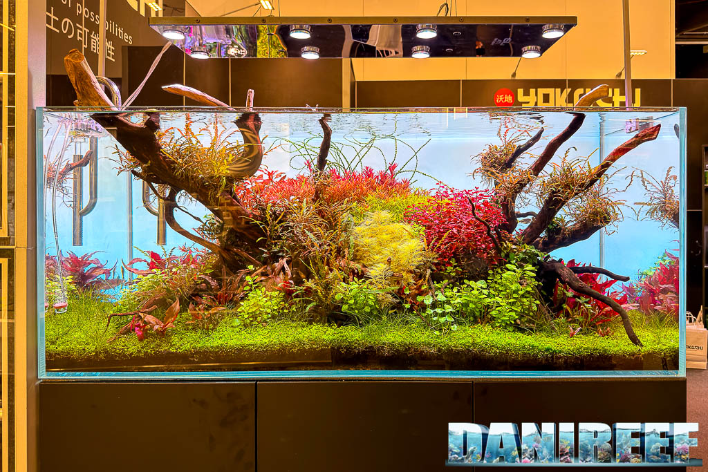 Aquascaping di acqua dolce Yokuchi a Interzoo 2026