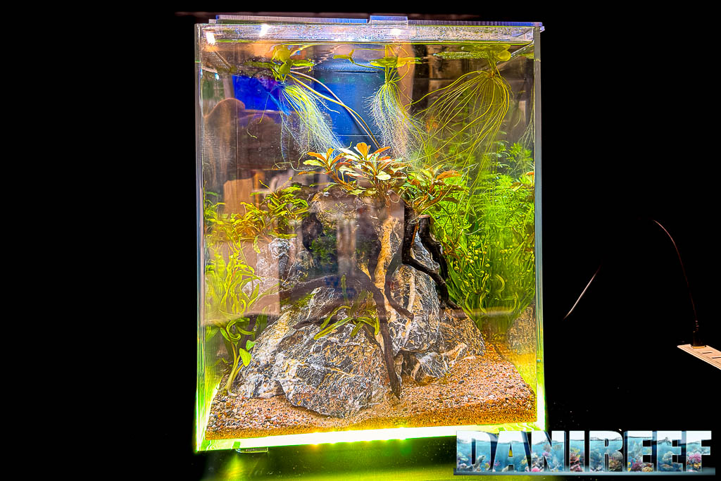 Betta splendens in Edge Glow Interpet nello stand Sera a Interzoo 2026
