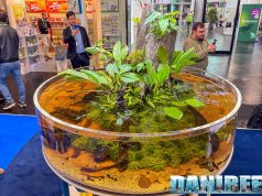 Sera a Interzoo 2026: Edge Glow, laghetti e biotopo Project Piaba