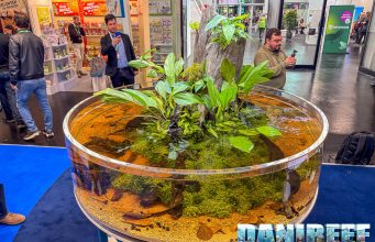 Sera a Interzoo 2026: Edge Glow, laghetti e biotopo Project Piaba