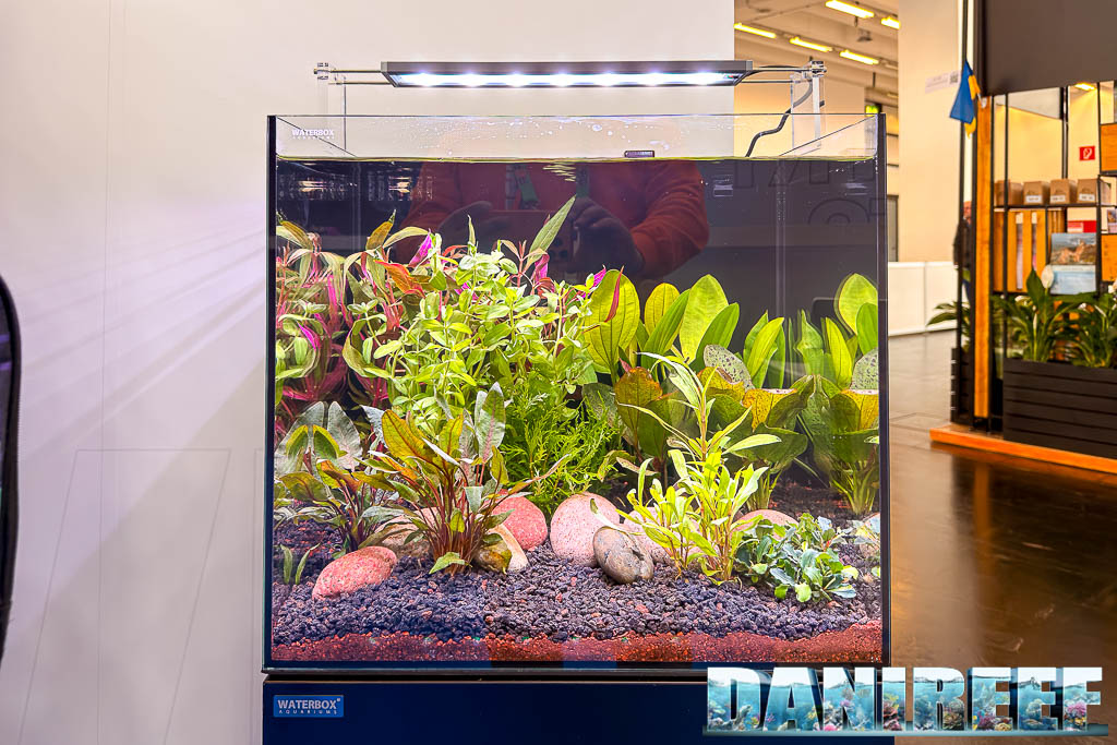 Layout d'acqua dolce Waterbox a Interzoo 2026