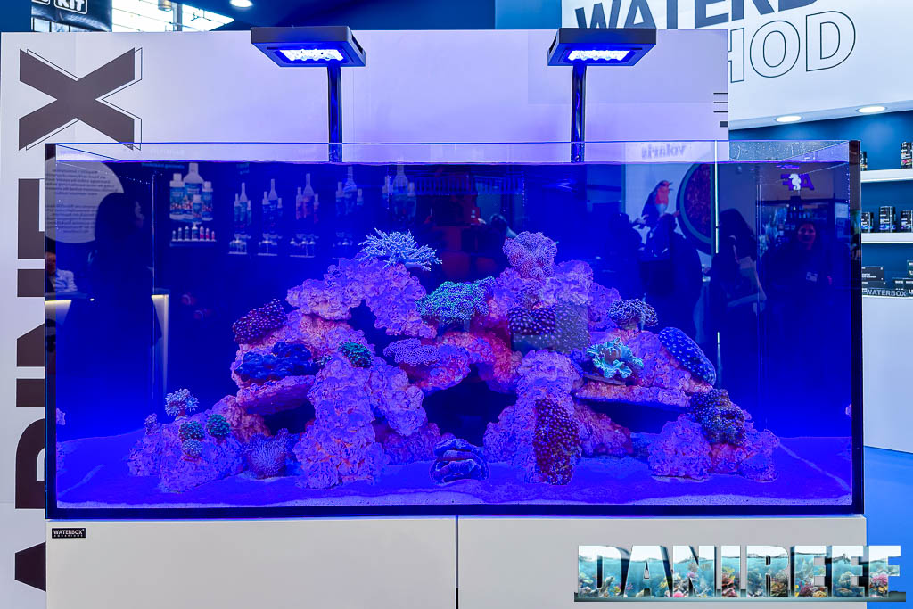 Acquario marino Waterbox illuminato con le nuove plafoniere Lumora a Interzoo 2026