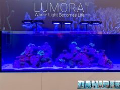 Waterbox a Interzoo 2026: nuova plafoniera Lumora e tanto altro
