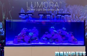 Waterbox a Interzoo 2026: nuova plafoniera Lumora e tanto altro