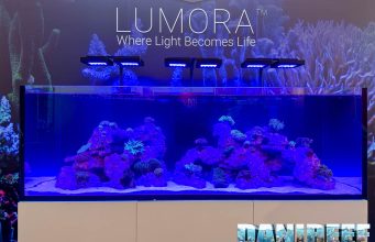 Waterbox a Interzoo 2026: nuova plafoniera Lumora e tanto altro