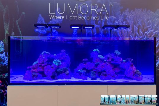 Waterbox a Interzoo 2026: nuova plafoniera Lumora e tanto altro