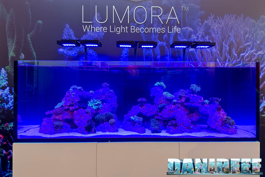 Acquario marino Waterbox illuminato con plafoniere Lumora a Interzoo 2026