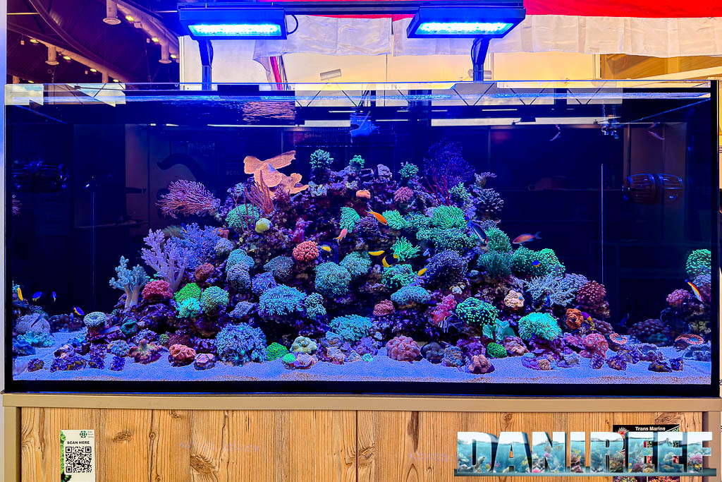 Acquario marino di PT Dinar Darum Lestari a Interzoo 2026