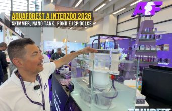 AquaForest a Interzoo 2026 all-in skim, nano tank, icp dolce e pond