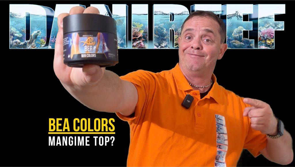 BEA Colors la nostra copertina per la recensione del mangime premium per pesci