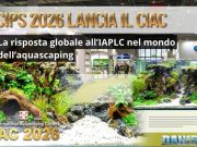 CIAC 2026: il contest internazionale di aquascaping torna al CIPS CIPS 2026 aquascaping contest
