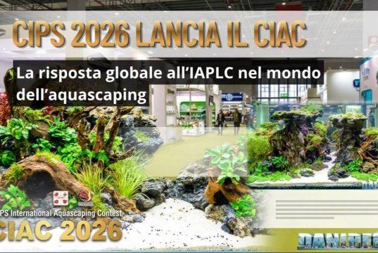 CIAC 2026: il contest internazionale di aquascaping torna al CIPS CIPS 2026 aquascaping contest