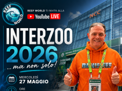 Questa sera live con Reef World: si parla di Interzoo 2026 e…