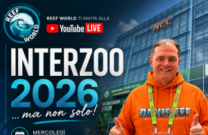 Questa sera live con Reef World: si parla di Interzoo 2026 e…