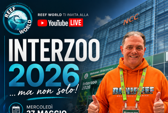 Questa sera live con Reef World: si parla di Interzoo 2026 e…