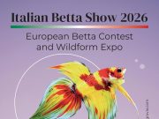 Italian Betta Show 2026: date, programma e Wildform Expo
