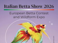 Italian Betta Show 2026: date, programma e Wildform Expo