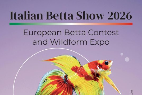 Italian Betta Show 2026: date, programma e Wildform Expo