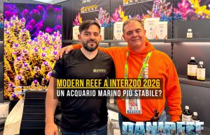 Modern Reef svela Reef Terraformer, Shield, Sentinel ed altro