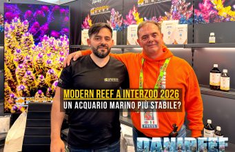 Modern Reef svela Reef Terraformer, Shield, Sentinel ed altro