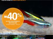 MasterFisch: offerte su pesci più venduti, chirurghi, guppy e coralli