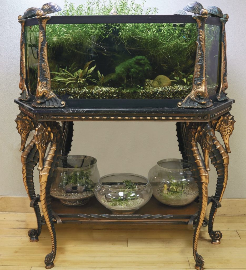 Acquario storico della collezione del Museum of Aquarium and Pet History