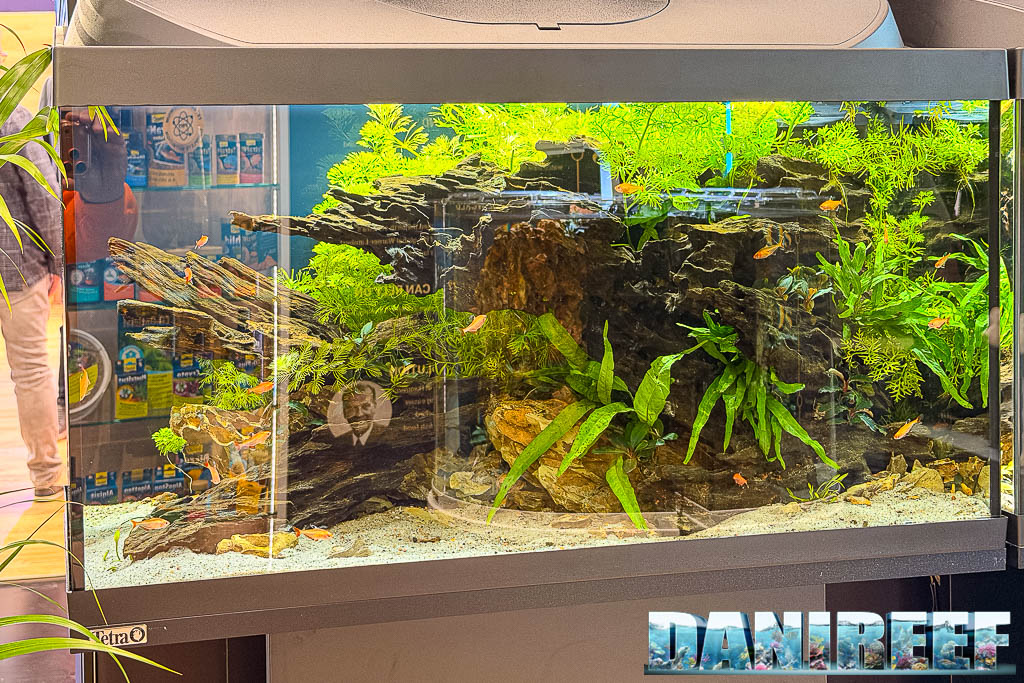 Acquario d'acqua dolce Tetra allestito a Interzoo 2026