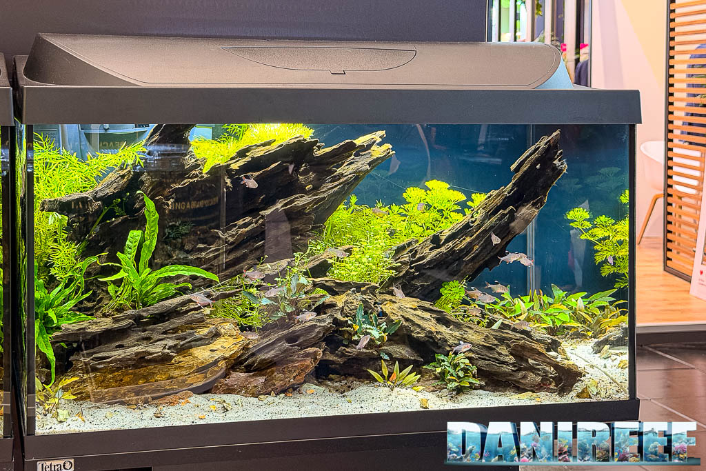 Layout d'acqua dolce nello stand Tetra a Interzoo 2026