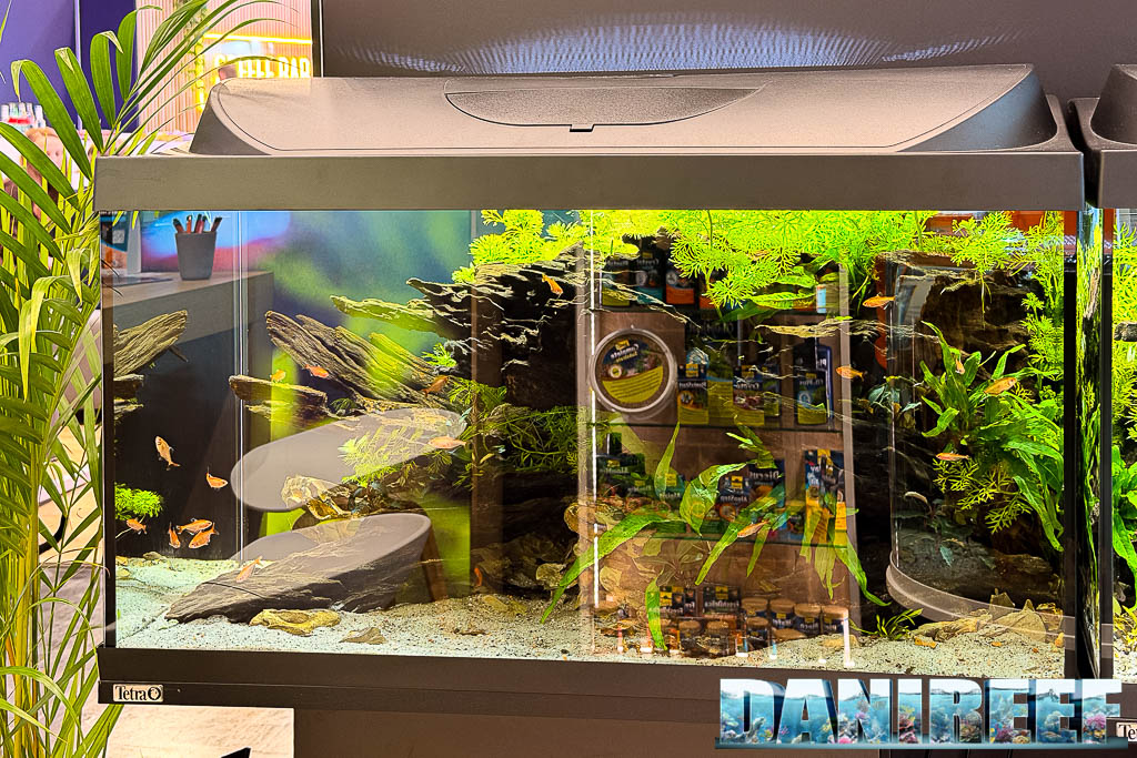 Acquario scenografico Tetra a Interzoo 2026
