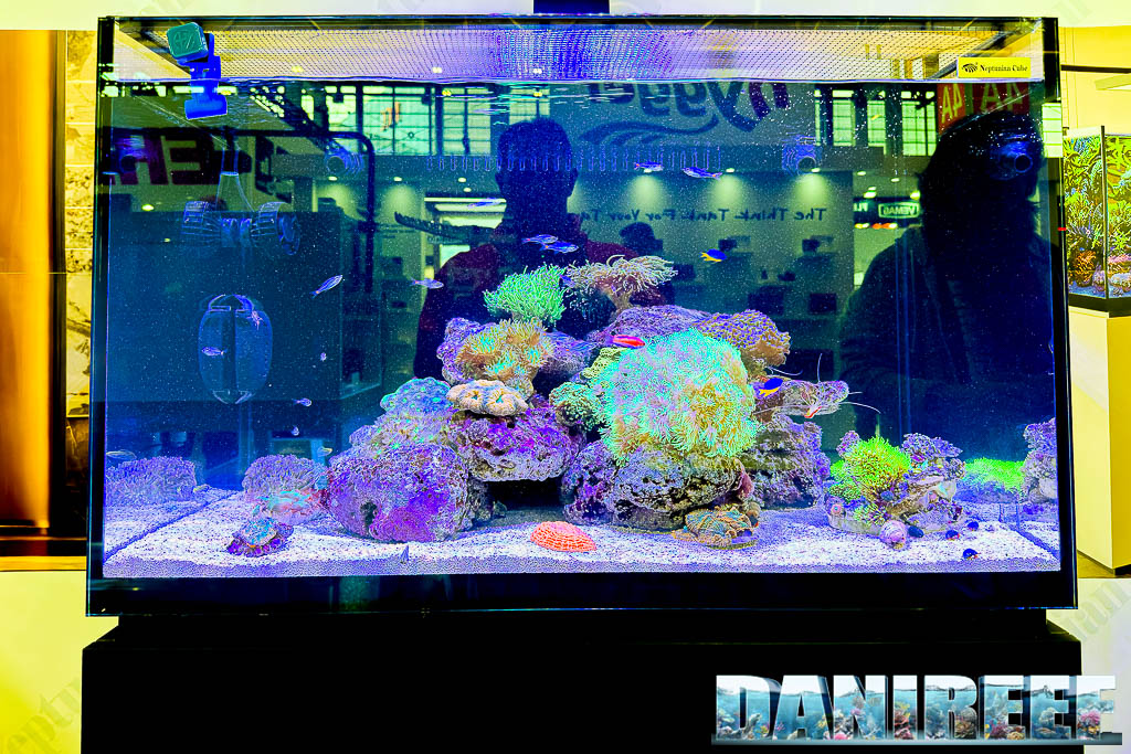 Acquario marino Neptunian Cube allestito a Interzoo 2026