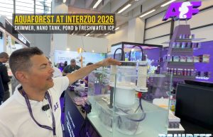 AquaForest at Interzoo 2026: All-In Skim and a New Ecosystem